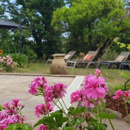 Aroma Green Villa Cagnano エクステリア 写真