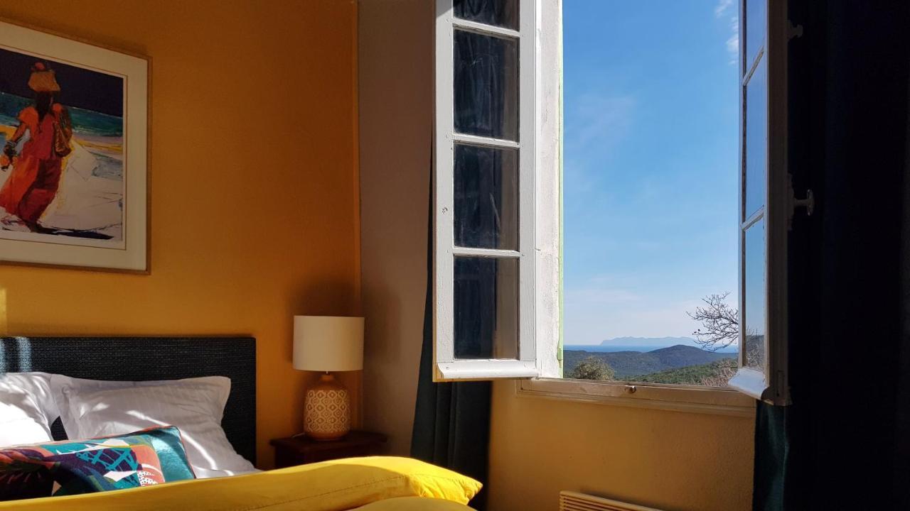 Aroma Green Villa Cagnano エクステリア 写真