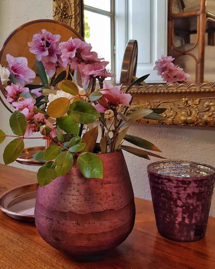 Aroma Green Villa Cagnano エクステリア 写真