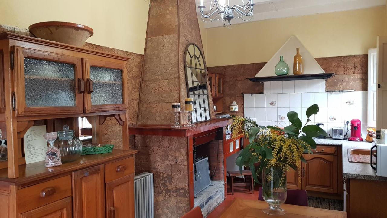 Aroma Green Villa Cagnano エクステリア 写真