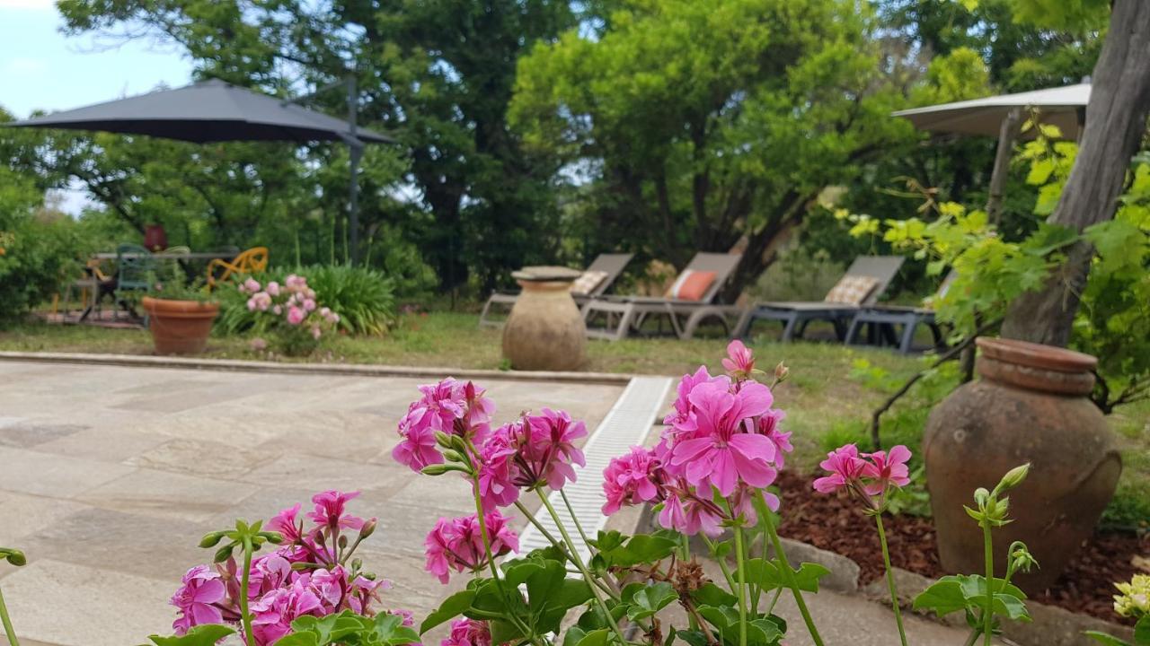 Aroma Green Villa Cagnano エクステリア 写真